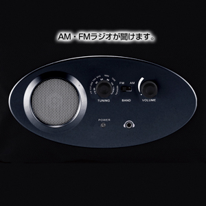 AM/FMラジオ・スピーカー付クーラーバッグ