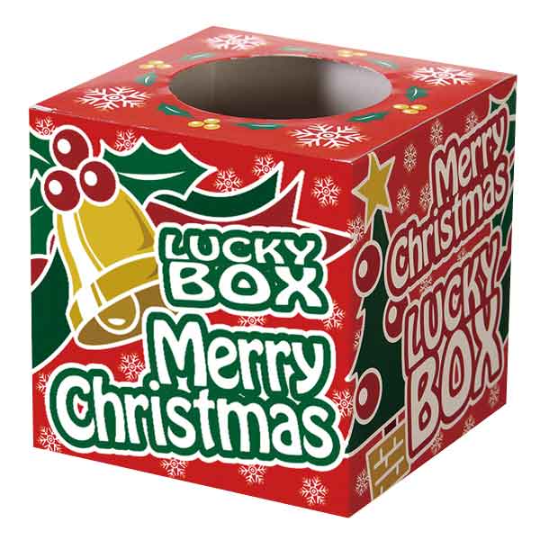 クリスマス抽選箱(小)