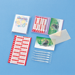 キレイガスキ M9