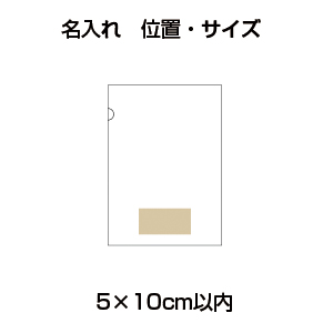 DMボールペン付A4クリアファイル