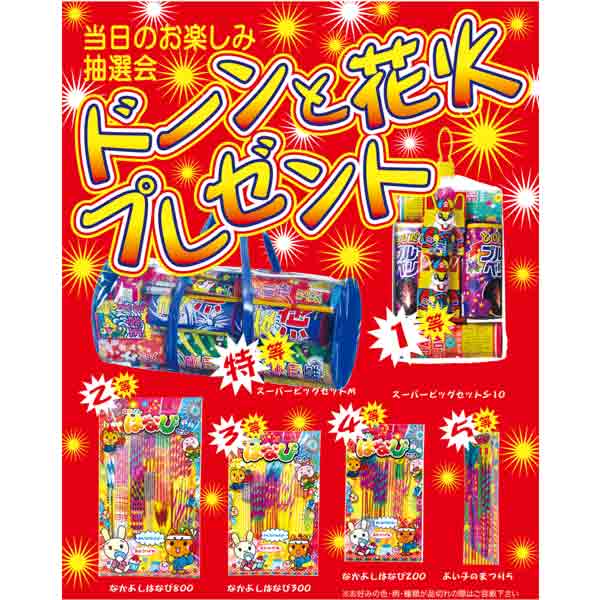 ドーンと花火プレゼント50人用