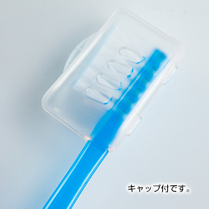 カラフル歯ブラシ（キャップ付）(ライトグリーン)