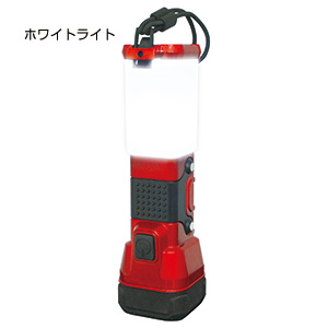2WAY LIGHT
