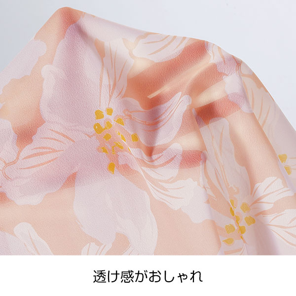 フロッティ シフォンストール