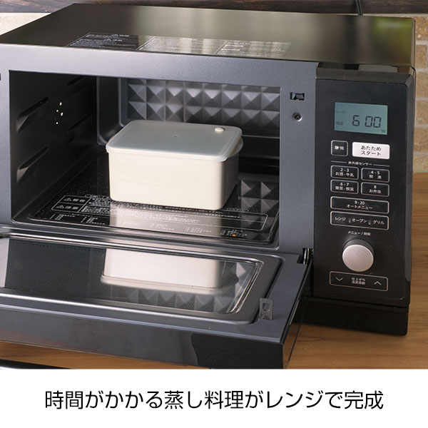 スピーディーヘルシーレンジスチーマー