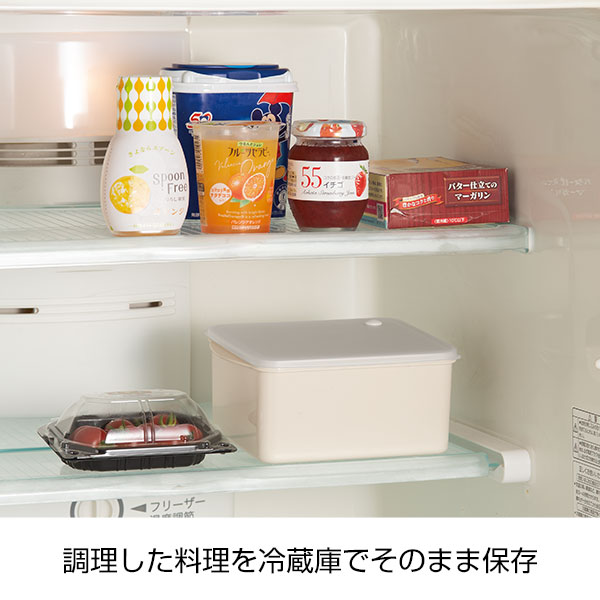 スピーディーヘルシーレンジスチーマー