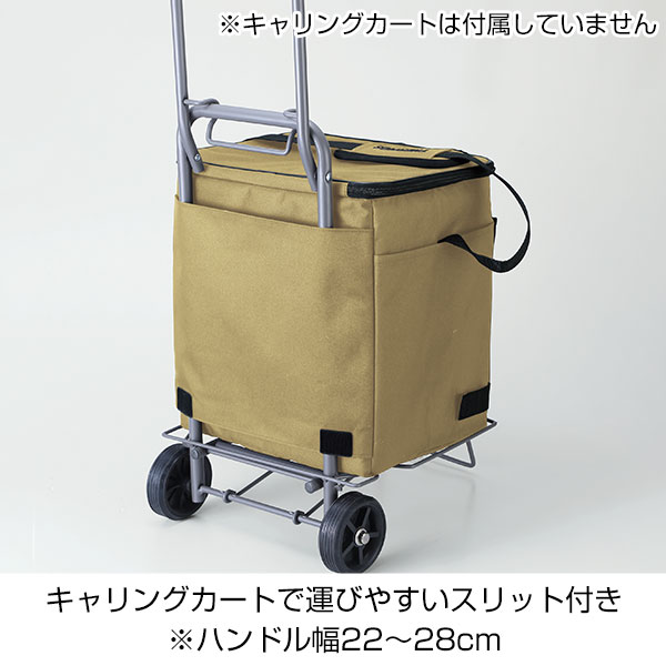 サーモス・ソフトクーラー20(サンドベージュ)RFD