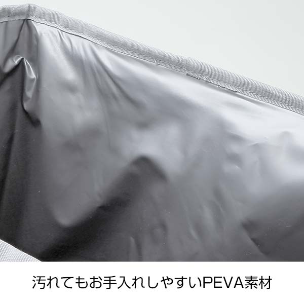 サーモス・ソフトクーラー２０（オールブラック）RFD