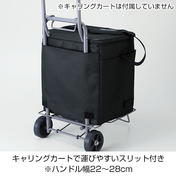 サーモス・ソフトクーラー２０（オールブラック）RFD
