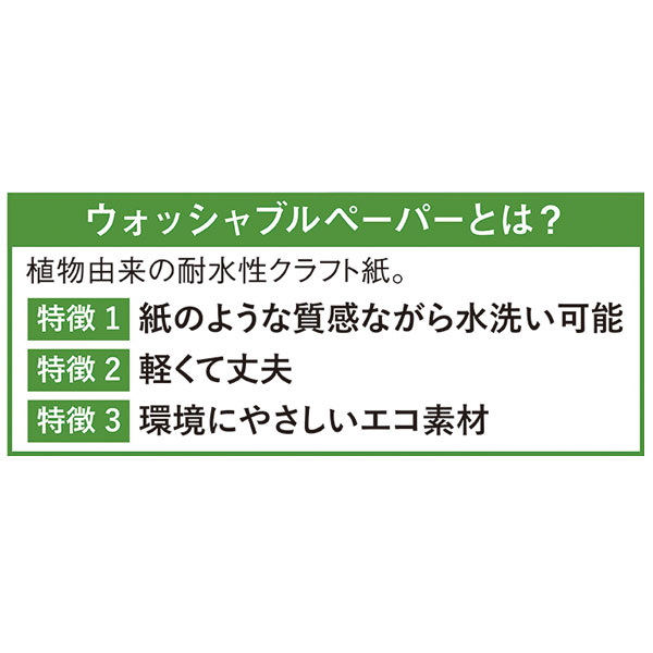 イークラフト・ウォッシャブルペーパーポーチ(ベージュ)