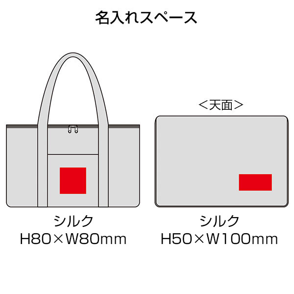 レジャーアンドライフ・保冷温ビッグボックスバッグ