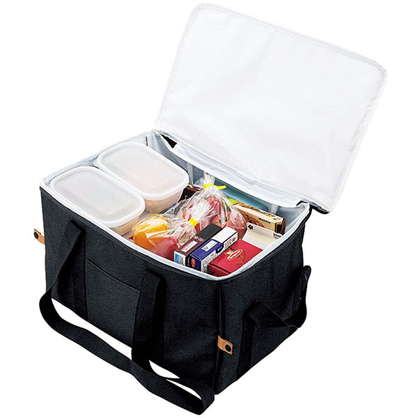 レジャーアンドライフ・保冷温ビッグボックスバッグ