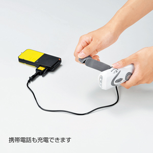 AM/FMマルチ充電ライト