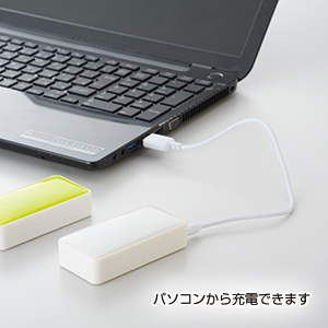 ポケットバッテリー3000
