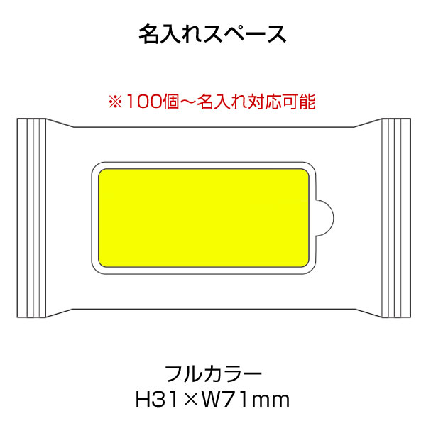 小ロット！冷感クールウェット10枚