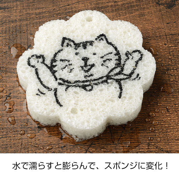 ふくらむマジックスポンジ