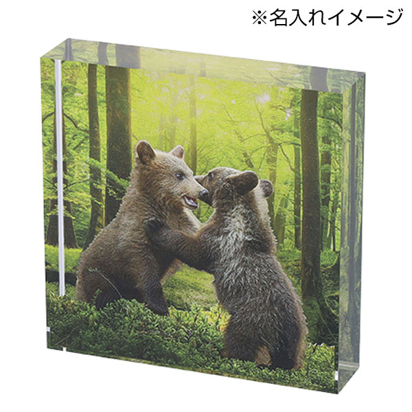 アクリルブロック