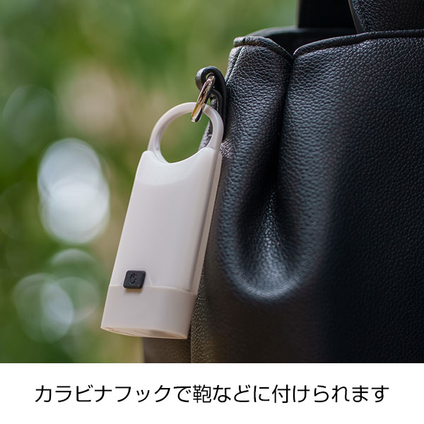 カラビナミニランタン
