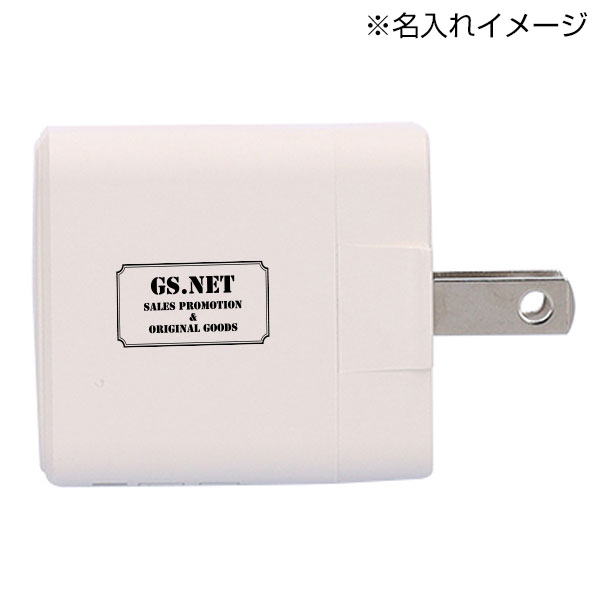 2ポートアダプター 20W