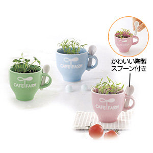 ミニカフェファーム