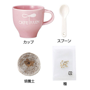 ミニカフェファーム