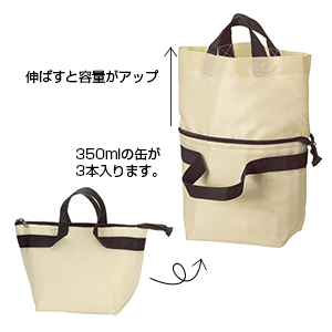 2スタイル保冷温ランチバッグ