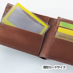 ケース付カードルーペ