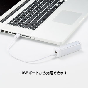 スティックチャージャー