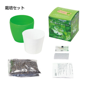 四つ葉のクローバー栽培セットプチ