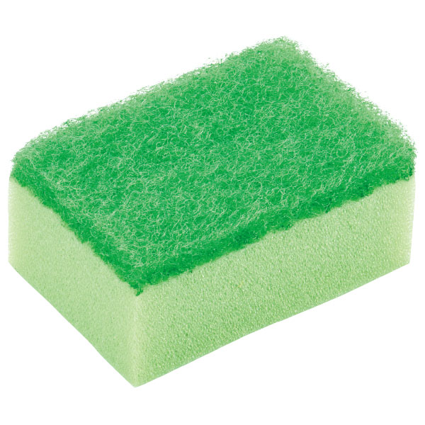 トイロスポンジ10個セット