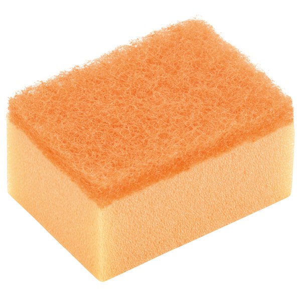 トイロスポンジ10個セット