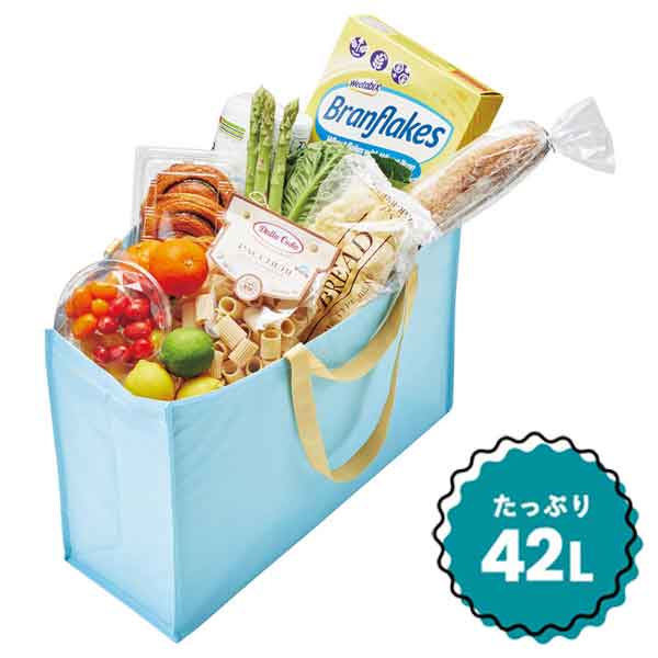 容量たっぷり!2WAYスクエアバッグ