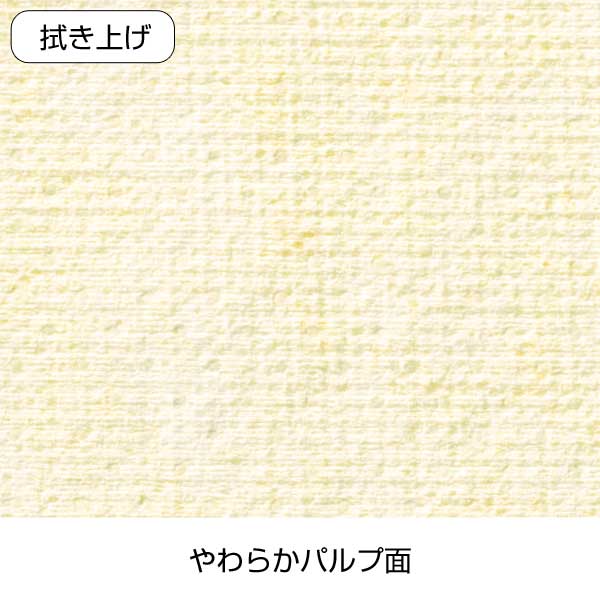 洗剤いらず!ザラザラ触感シート15枚入