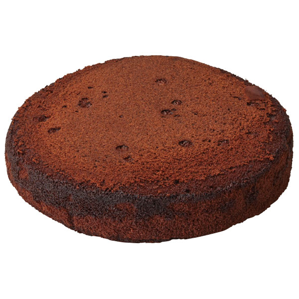 クリスマスケーキ ベイクドショコラ