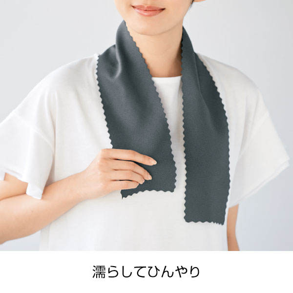 熱中症対策　ひんやりセット
