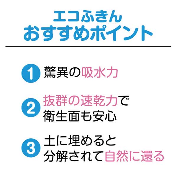 福柴と富士山 超吸水!エコふきん