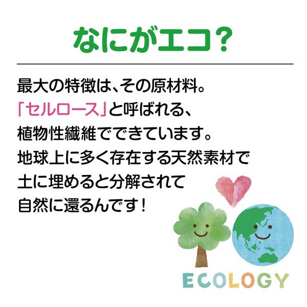 わんこ日和 超吸水!エコふきん