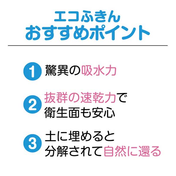 わんこ日和 超吸水!エコふきん