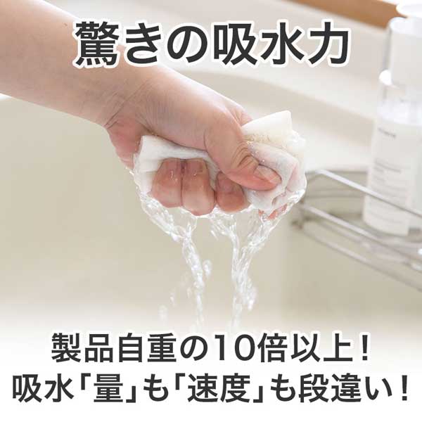 わんこ日和 超吸水!エコふきん