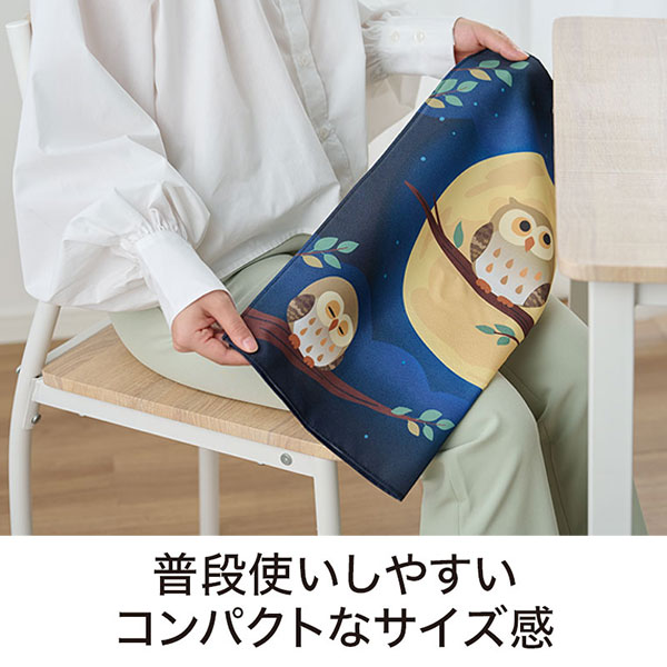 いつまでもお元気で ふろしき