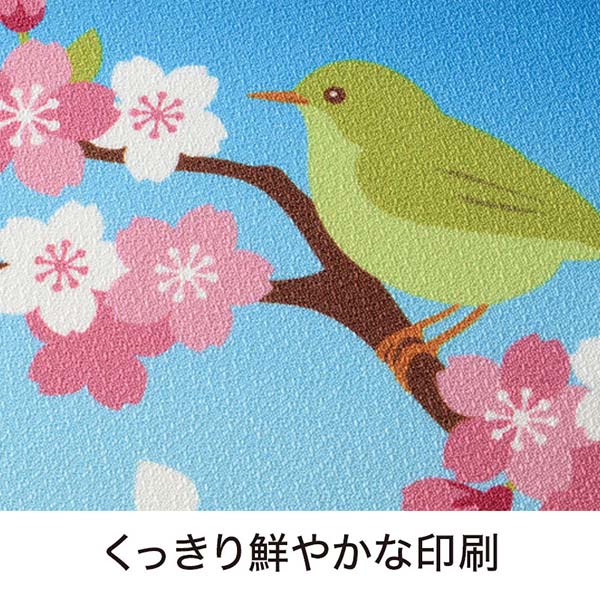 さくらさく ふろしき