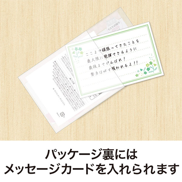 合格祈願 不織布マスク(1枚入り)