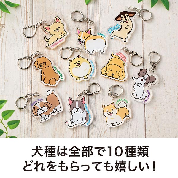 ディアドッグ アクリルキーホルダー