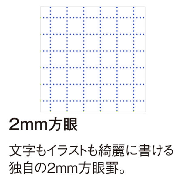 サイドカラーリングメモ(バーガンディ/ブルー)