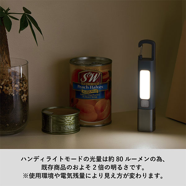 LED 2WAYハンディライト