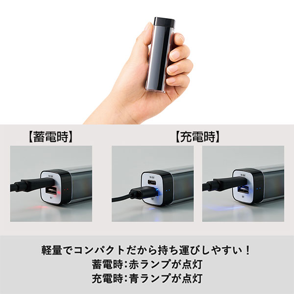 カスタムデザインチャージャー2200　Type-C対応