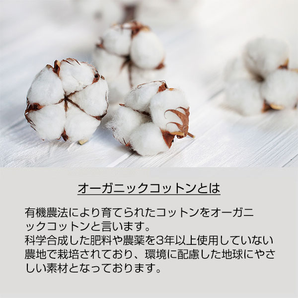 フェアトレードコットンフラットトート　ナチュラル