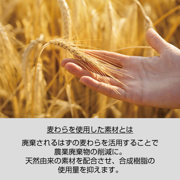 エコボールペン(麦わら配合タイプ)