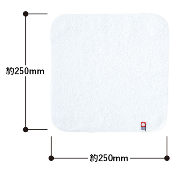 今治白タオル ミニ