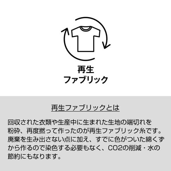 シャンブリックキャンバストート(S)